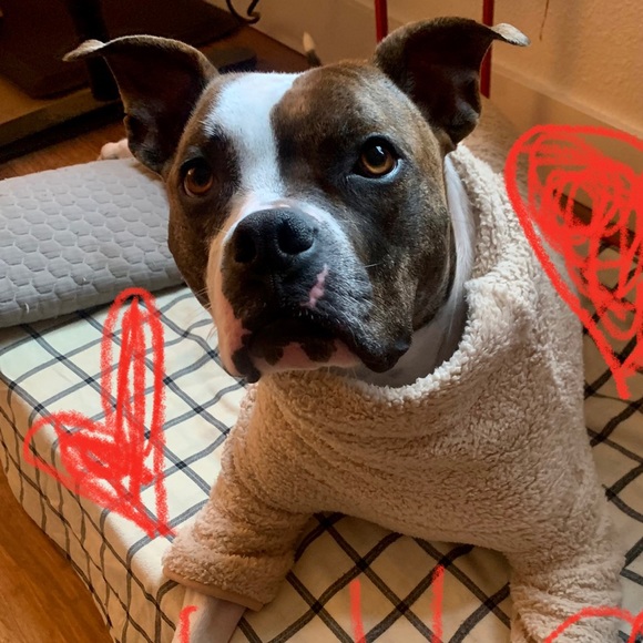 Later Tater! - Picture 3 of 3